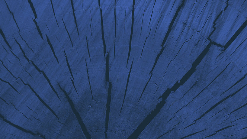 Blue Wood