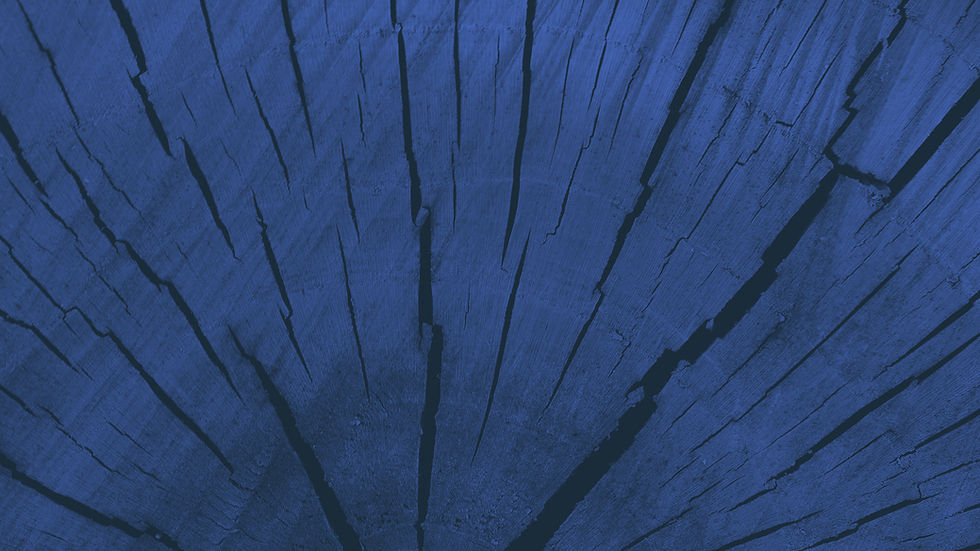 Blue Wood Texture