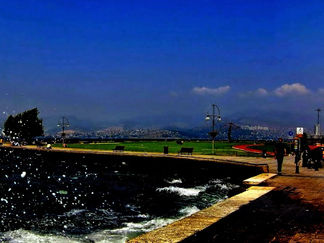 Bir Düş