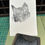 Thumbnail: Cat Lino Cut Donna Sutherland collection