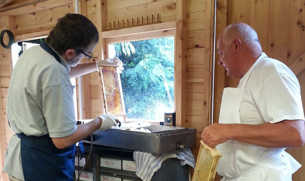 2014-06-29 15.55.36-1_edited_edited