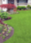 Go for green - Types of SA lawns