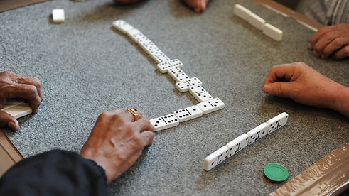 DOMINo.jpg
