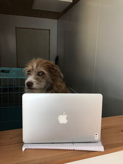 OxUHbvpPSrGmNQpJuduo%A