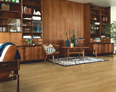 Modern Plank