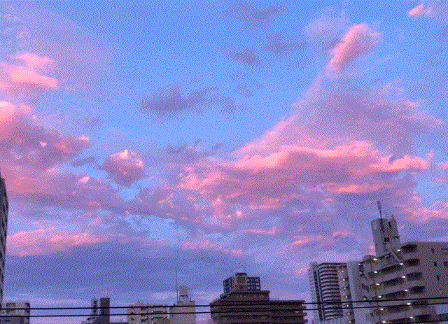 IMG_1335.GIF