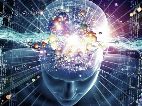 Many Minds Interpretation 