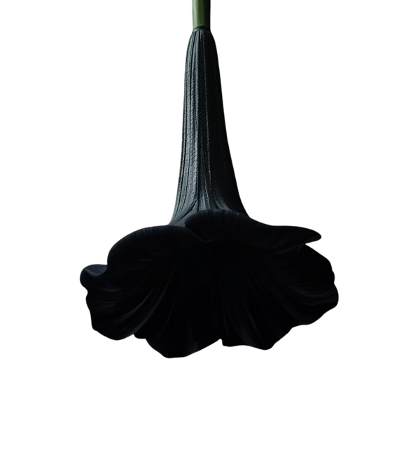 The Authority Dress SP26BHFR.png