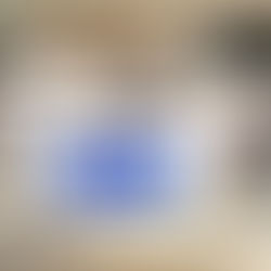 วิริยะประกันภัย สนับสนุนภารกิจป้องกันไฟป่า พื้นที่ดอยสะเก็ด จ.เชียงใหม่