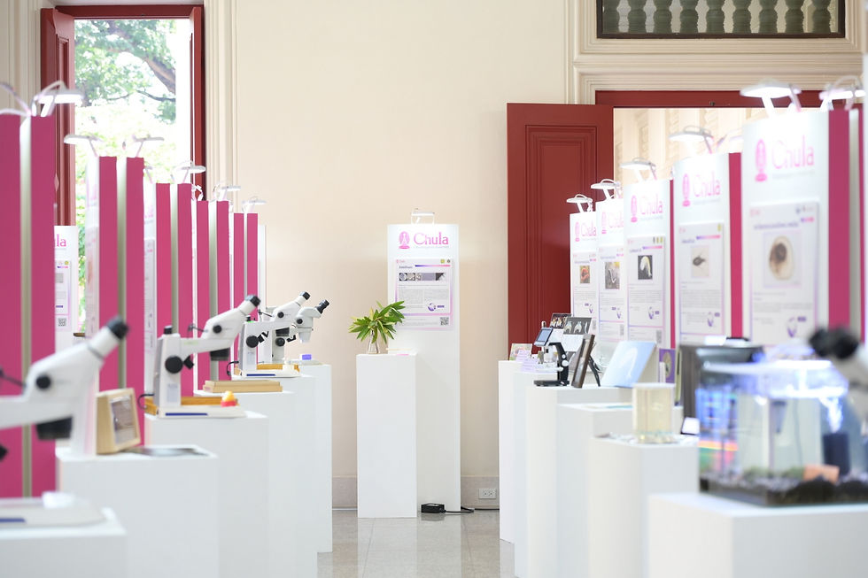 จุฬาฯ จัดงาน Chula the Impact ครั้งที่ 36 แถลง “43 สิ่งมีชีวิตใหม่ของโลก”