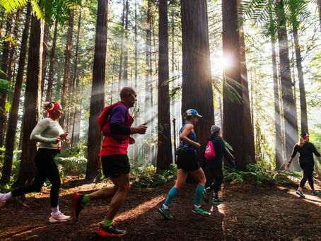 การท่องเที่ยวนิวซีแลนด์ เปิดตัวกิจกรรม “วิ่ง เดิน ปั่น ปีนเขา” ท่ามกลางธรรมชาติอันยิ่งใหญ่ของนิวซีแลนด์