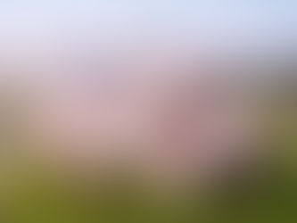 evian® เฉลิมฉลองครบรอบ 200 ปี ร่วมมือกับ ‘เจฟฟ์ คูนส์’ รังสรรค์ขวดลิมิเต็ด พร้อมมอบประสบการณ์ด้านไฟน์ไดนิ่งทั่วเอเชียแปซิฟิก