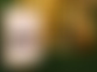 ttb reserve พาลูกค้าคนสำคัญอิ่มอร่อยกับมื้อพิเศษที่ร้าน “แสง ท่าเตียน”