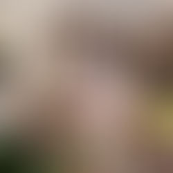 Kate Spade New York เปิดตัวคอลเล็กชันใหม่ Spring 2026