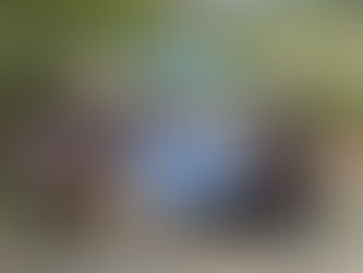 พรีโม ผนึกกำลังบริษัทในเครือและลูกบ้าน ส่งมอบตุ๊กตาและของเล่นเด็ก พร้อมบริจาคเงิน 10,000 บาท แก่มูลนิธิเด็กโสสะ