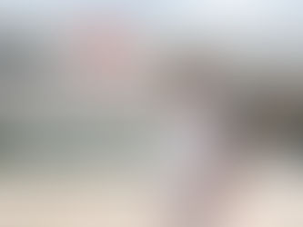 ทำความรู้จักบ้านนวัตกรรมป้องกันแผ่นดินไหว “SCG HEIM” ปลอดภัย ตอบโจทย์งานก่อสร้าง แข็งแรง ทนทาน