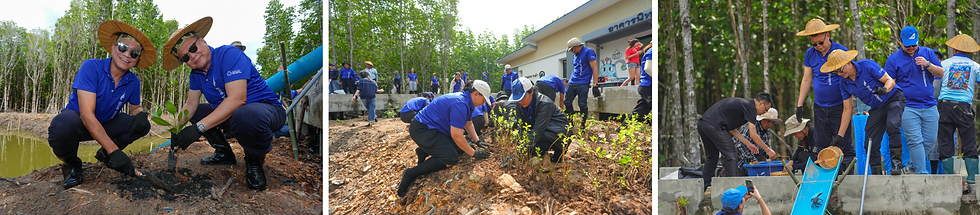 บางกอกแอร์เวย์ส สานต่อกิจกรรม “รักษ์โลก ร่วมปลูกป่าชายเลน” ปีที่ 6