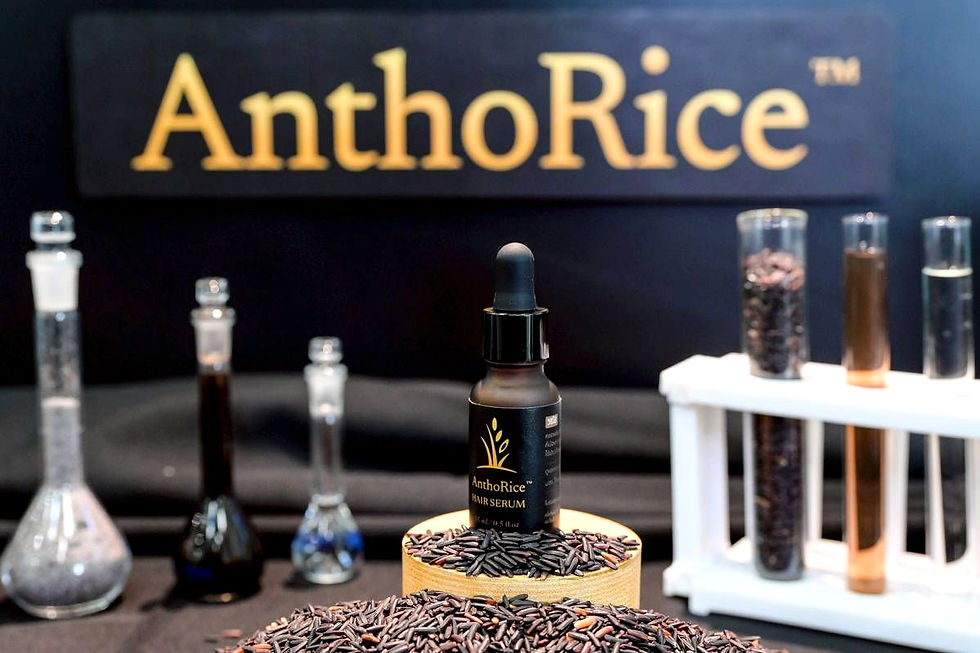 จุฬาฯ – มหิดล ผนึกความร่วมมือถ่ายทอดเทคโนโลยี “AnthoRice™ Complex”