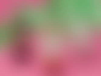 Swatch พลิกมุมมองของขวัญช่วงเทศกาล ชวนโฟกัสคุณค่าของ “การใช้เวลาด้วยกัน” ผ่านคอลเล็กชัน Holiday ใหม่ล่าสุด ที่เพิ่มสีสันให้ทุกช่วงเวลามีความหมาย