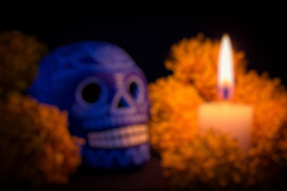 fondo calaveritas.png