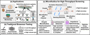 2025 IEEE CASS Biomedical Circuits and Systems Best Paper Award