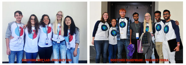 Hard-work bears fruit for the BostonU iGEM teams