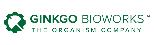 iGEM Teams Bond at Ginkgo Bioworks Tour and Beach Trip