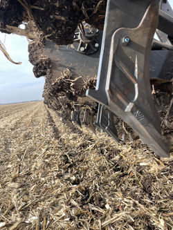 ST4R Soil Warrior Edge