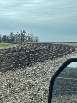 ST4R Soil Warrior Edge