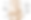 anterior-ankle-w-labels-01_final.png