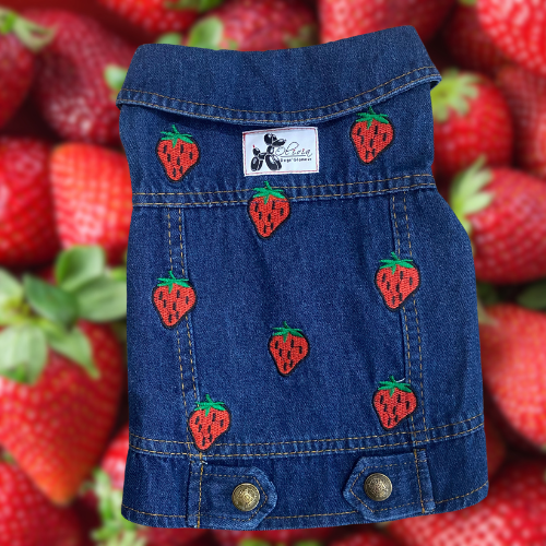 STRAWBERRIES JACKET