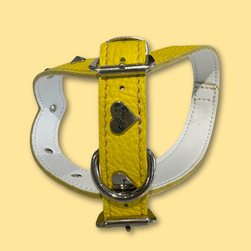 Miniatura: il Set "YELLOW STUDS"