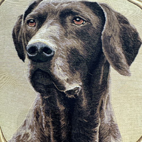 Miniatura: CUSCINO WEIMARANER