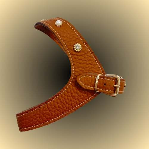 PETTORINA "BROWN PEARLS"