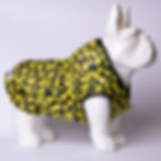 Miniatura: Impermeabile PINEAPPLE