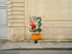 DSCF6095.jpg