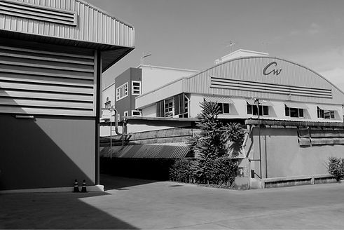 cw_____ (1)_edited.jpg