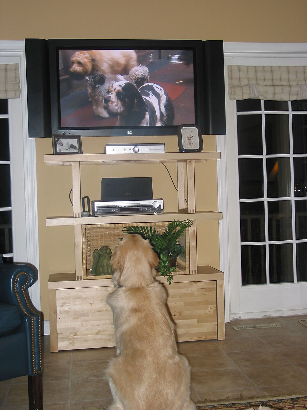 Watching TV