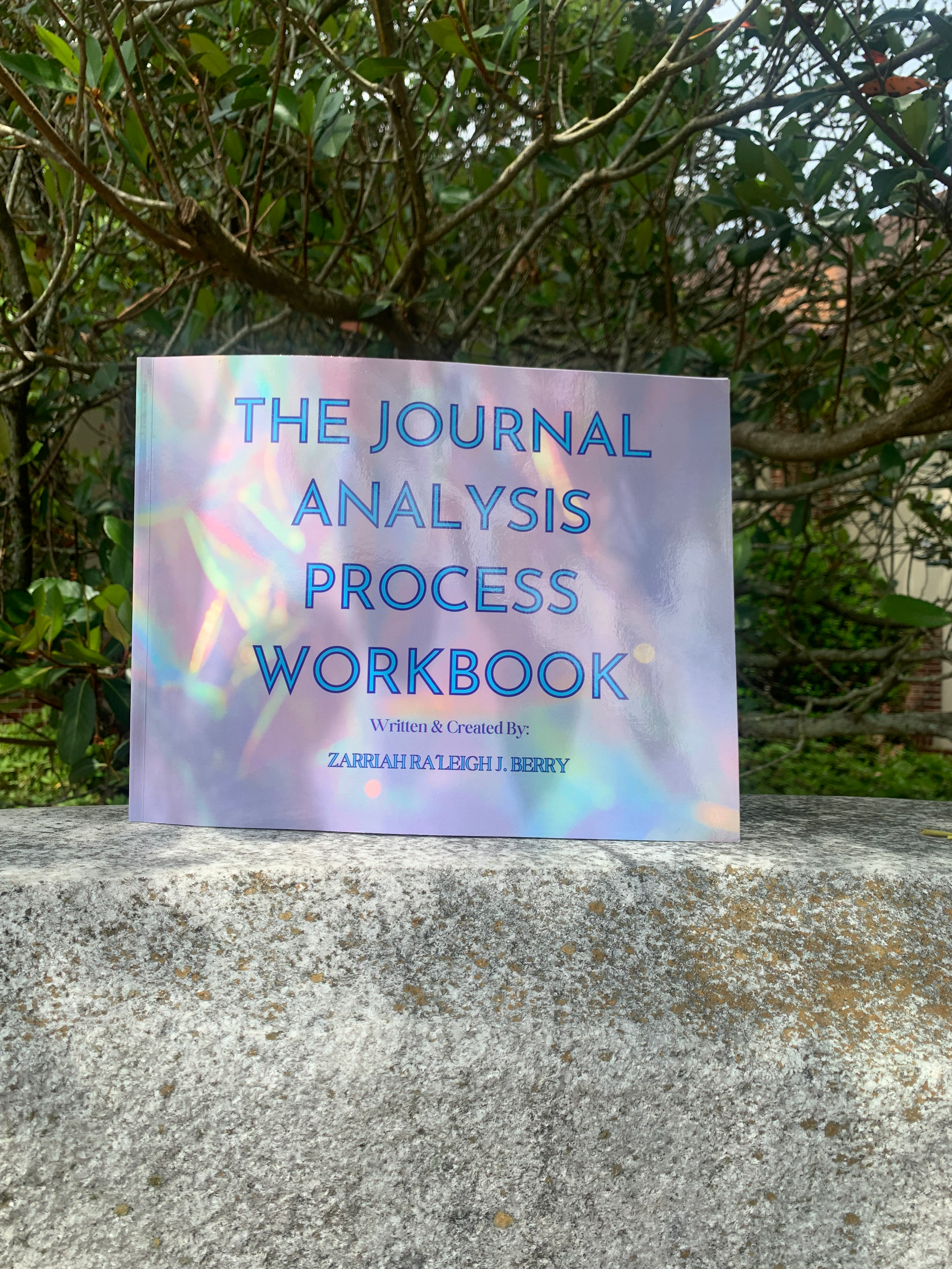 The Journal Analysis Process Printed Workbook