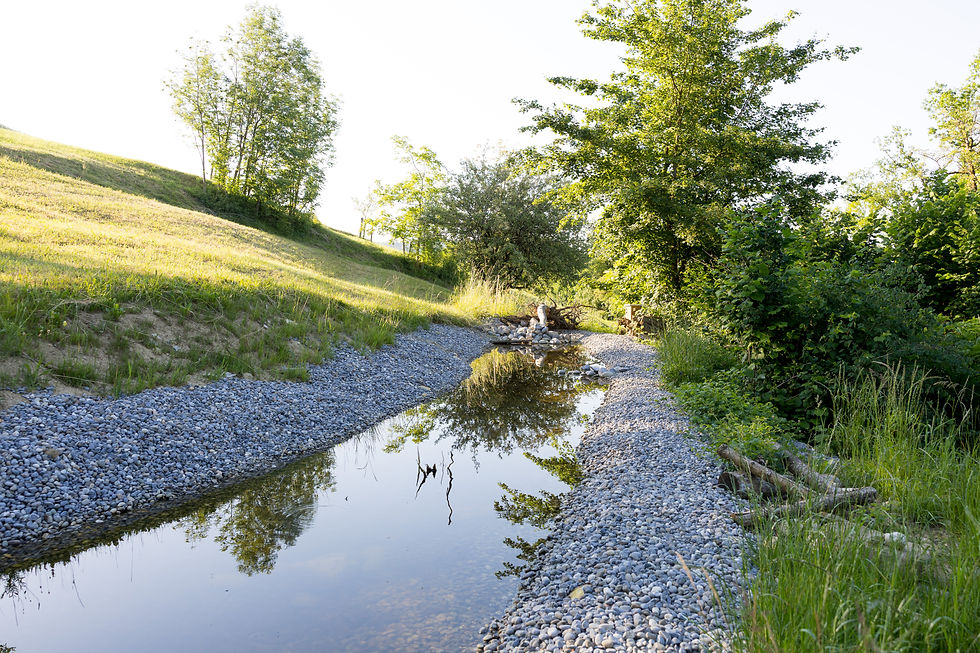 Homberg: temporäre Gewässer
