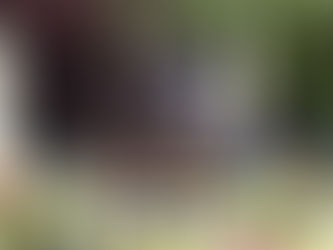 Jaminka P wygrywa średnią rundę w Olszy!