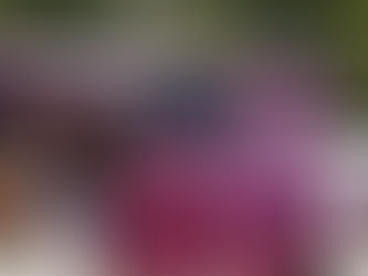 Åšwietne wyniki podczas CSIO4* Warsaw Jumping!