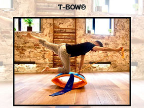 Postural Training with T-BOW®