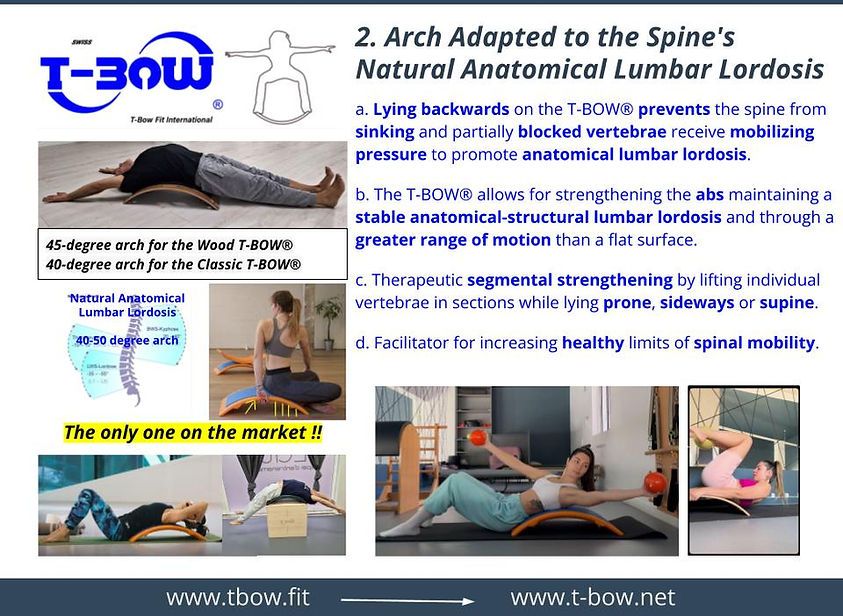 4 arch tbow adapted to natural anatomical-structural lumbar lordosis.jpg