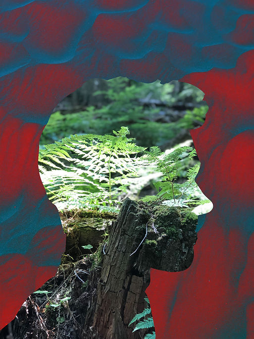 Digital Final14.jpg