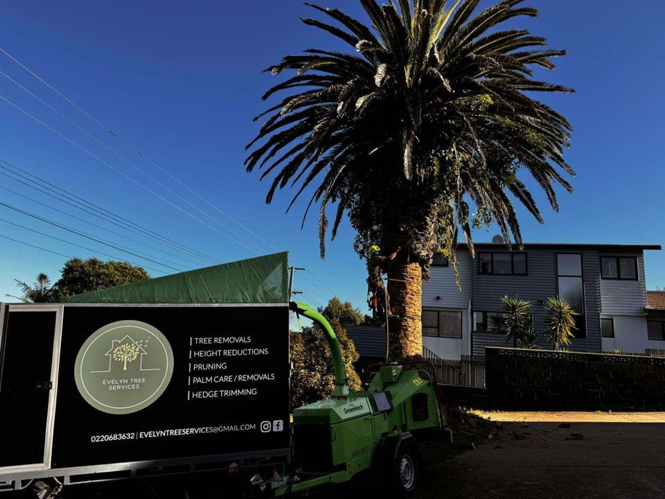 Evelyn Tree Services Palm Care