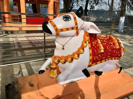 Visit to A Hindu Temple