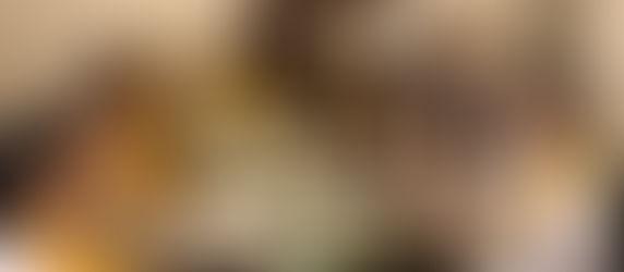 Vedic Healers Wellness Packages