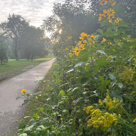 When I Need to Feel Better, I Go Outside