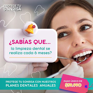 WhatsApp Image 2024-05-12 at 13.58.55.jpeg